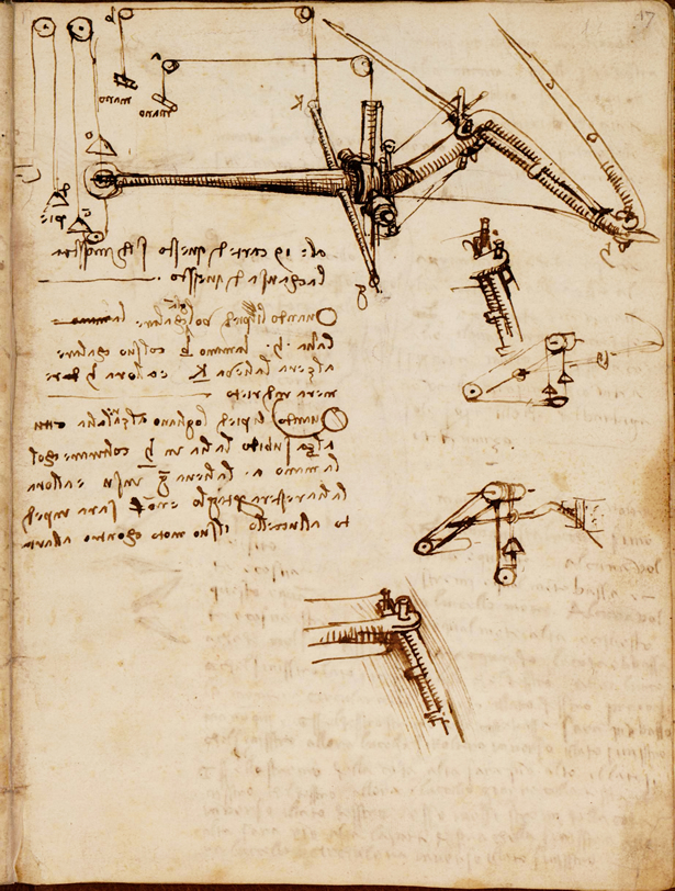 Codex on the Flight of Birds